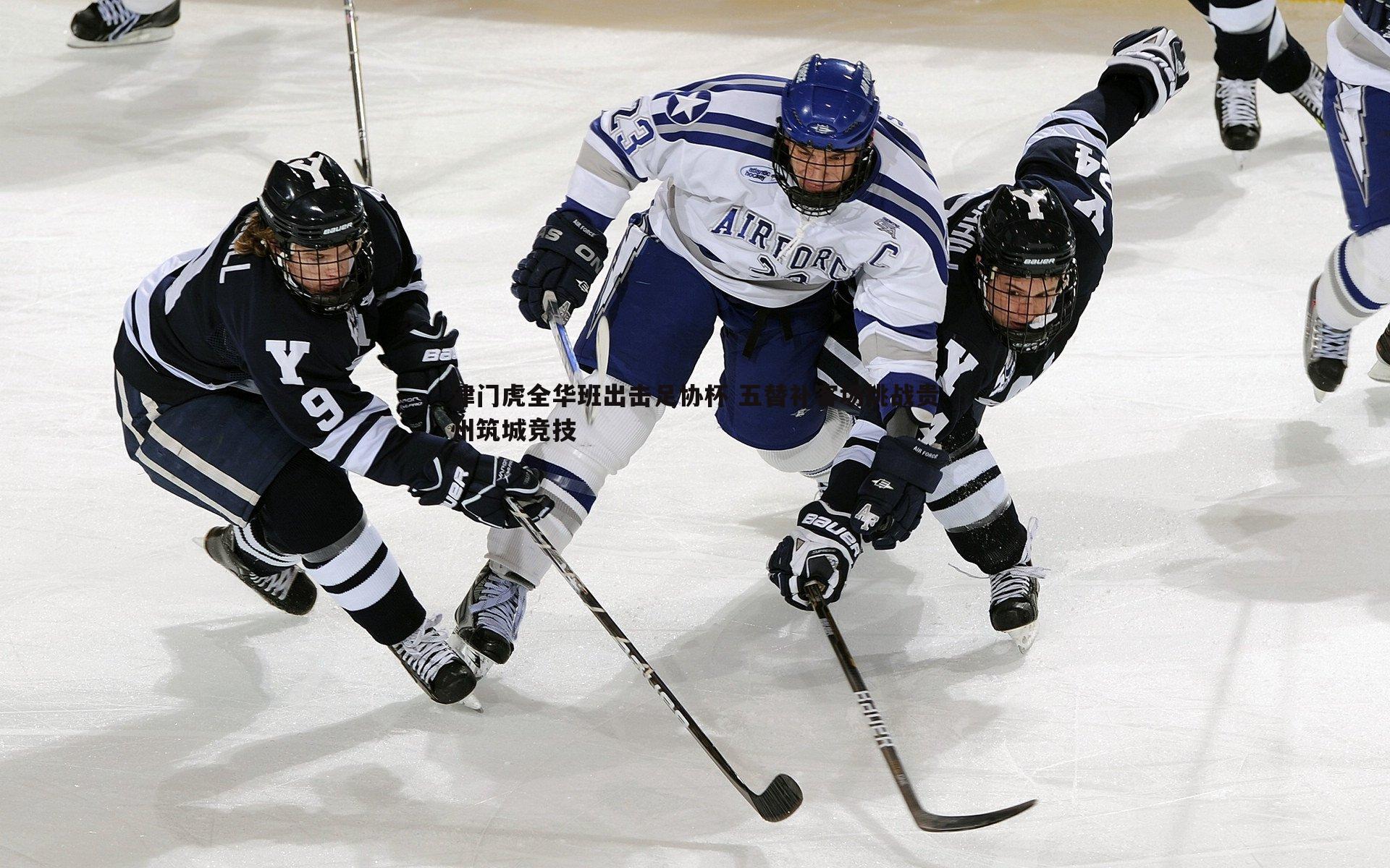 津门虎全华班出击足协杯 五替补客场挑战贵州筑城竞技